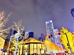 -成都尼依格罗酒店
