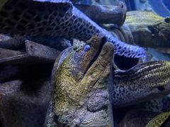 -成都浩海立方海洋公园