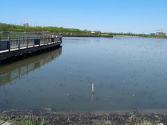 -天津东丽湖风景区