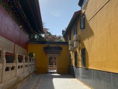 -宝通禅寺