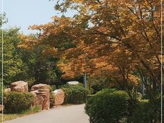 -西安世博园