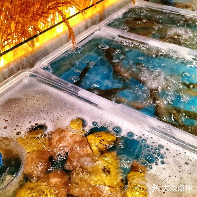 今日解锁粥火锅的神仙吃法🍲