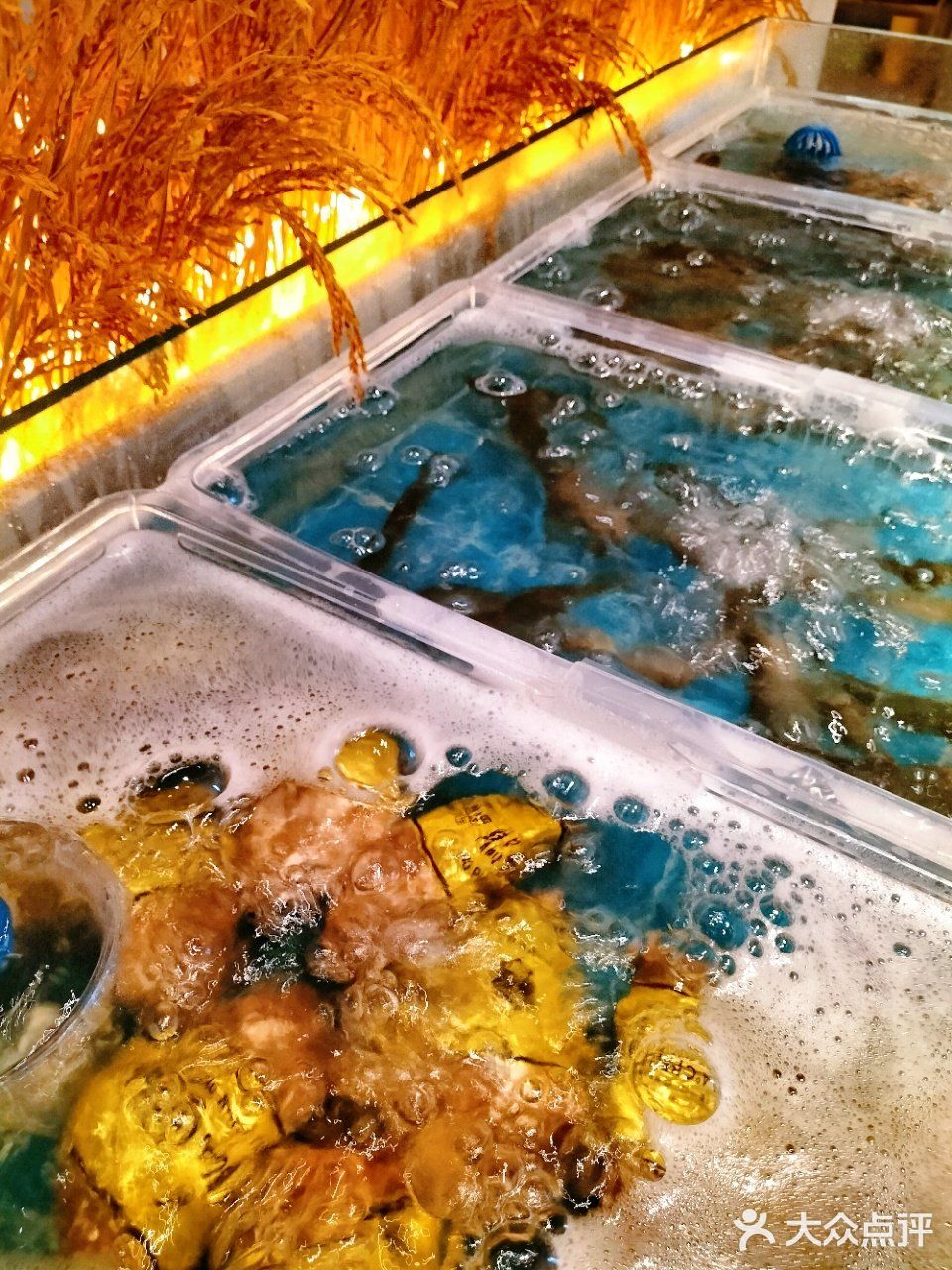 今日解锁粥火锅的神仙吃法🍲