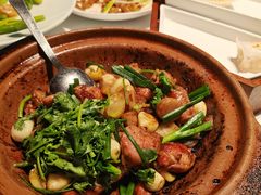 -南棠馆粤菜坊(群光店)