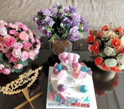 -巍阁高端月子会所