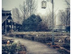 -活水公园