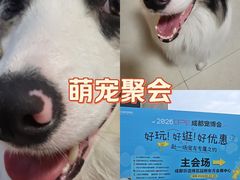 -国际非物质文化遗产博览园