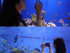 -重庆欢乐海底世界