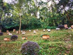 -广州市白云山风景名胜区