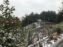 -四明山国家森林公园