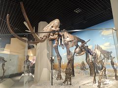 -国家自然博物馆