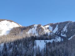 -煲来饱去冷水鱼