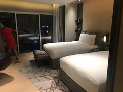 -新加坡瑞士史丹福酒店