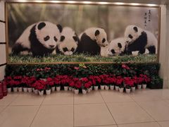 -成都驻京办餐厅(蜀都宾馆店)