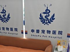 -申普宠物医院·眼科·心内科·影像科(普陀分院)