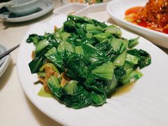 油渣上海青-韵秋荷(宝山龙湖天街店)