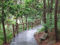 -铁山坪森林公园