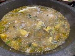 -石锅苗苗鱼(武汉首店)
