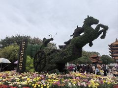 -富乐山