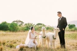 -巴黎婚纱摄影工作室