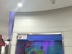 -雅悦齿科(顾村公园店)