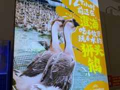 -陆记鹅庄·潮汕菜·狮头鹅(大仟里店)