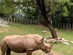 -深圳野生动物园