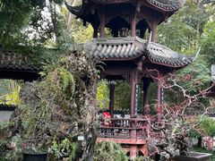 -成都杜甫草堂博物馆