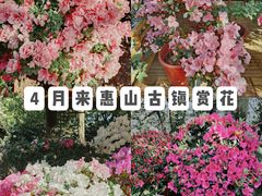 -惠山古镇·寄畅园