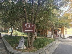 -灵谷景区
