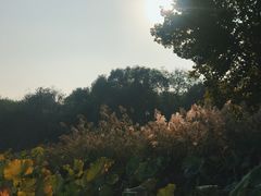 -府君山公园