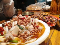 -柴窝堡22号辣子鸡·传承新疆菜