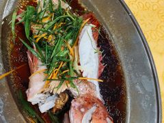 -新悦餐厅(建设街店)