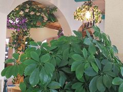-港畔赶海蒸汽海鲜烧烤自助(仙螺岛店)