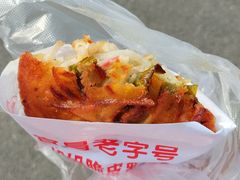 -半月镰胡姐脆皮萝卜饺子