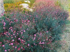 -汉长安城未央宫国家考古遗址公园