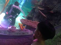 -沈阳海洋探索中心