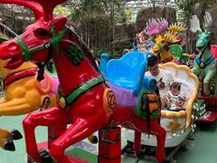 -南宫五洲植物乐园