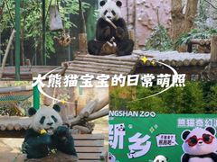-五龙山野生动物王国