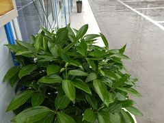 -卯火锅(人和协信店)