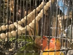 -西西里轰趴日租聚会别墅·团建拓展