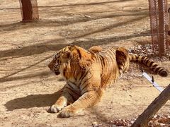 -秦皇岛野生动物园