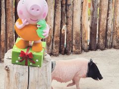 -水上乐园·欢乐世界