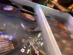 -十八字金·银饰·拼豆·开蚌DIY(魏公芳华里店)