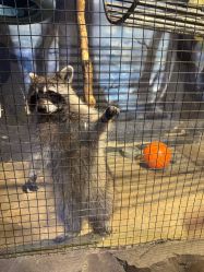 -酷嗒动物文化乐园(cutezoo西溪乐天城店)