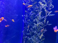 -波塞冬海底世界