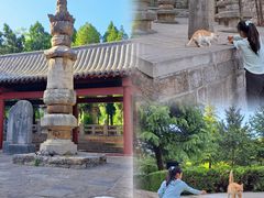 -四门塔风景区