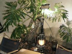 -J Create城市露营咖啡·简餐·宠物(上海动物园店)