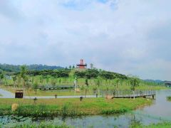 -东莞植物园