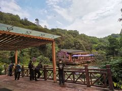 -云溪植物园